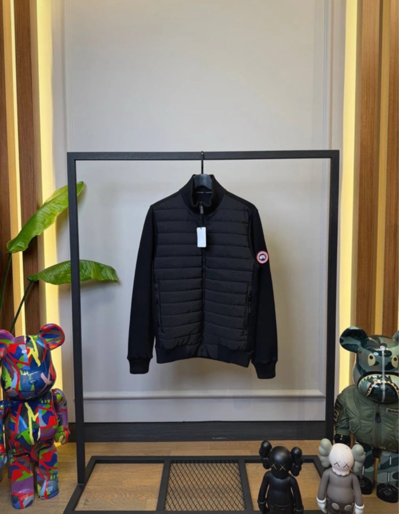 Canada Goose Jacket
